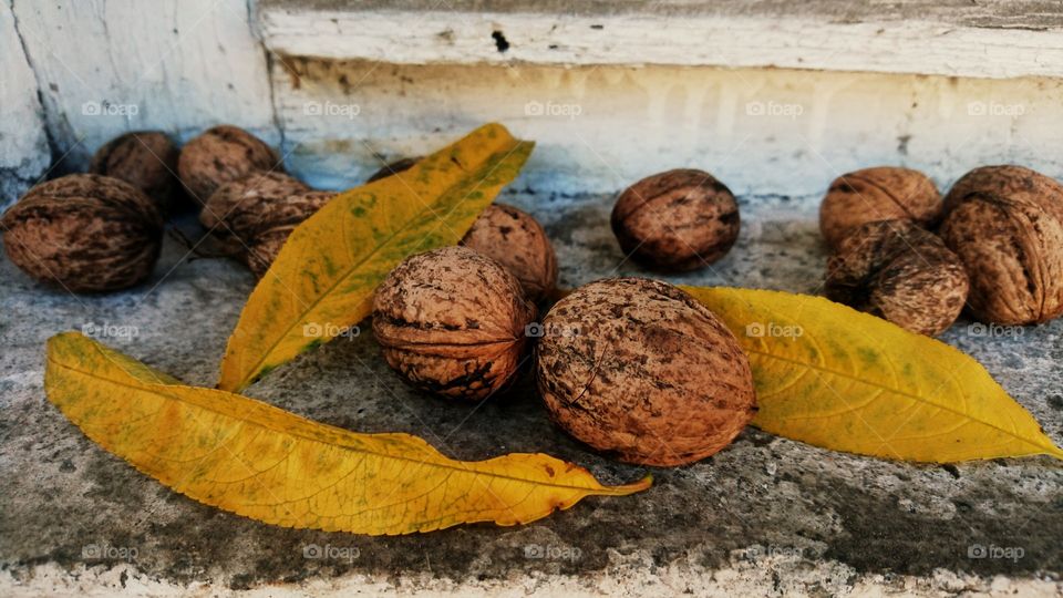 Autumn fruits