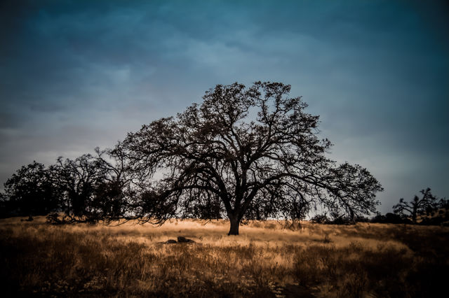 Solitude