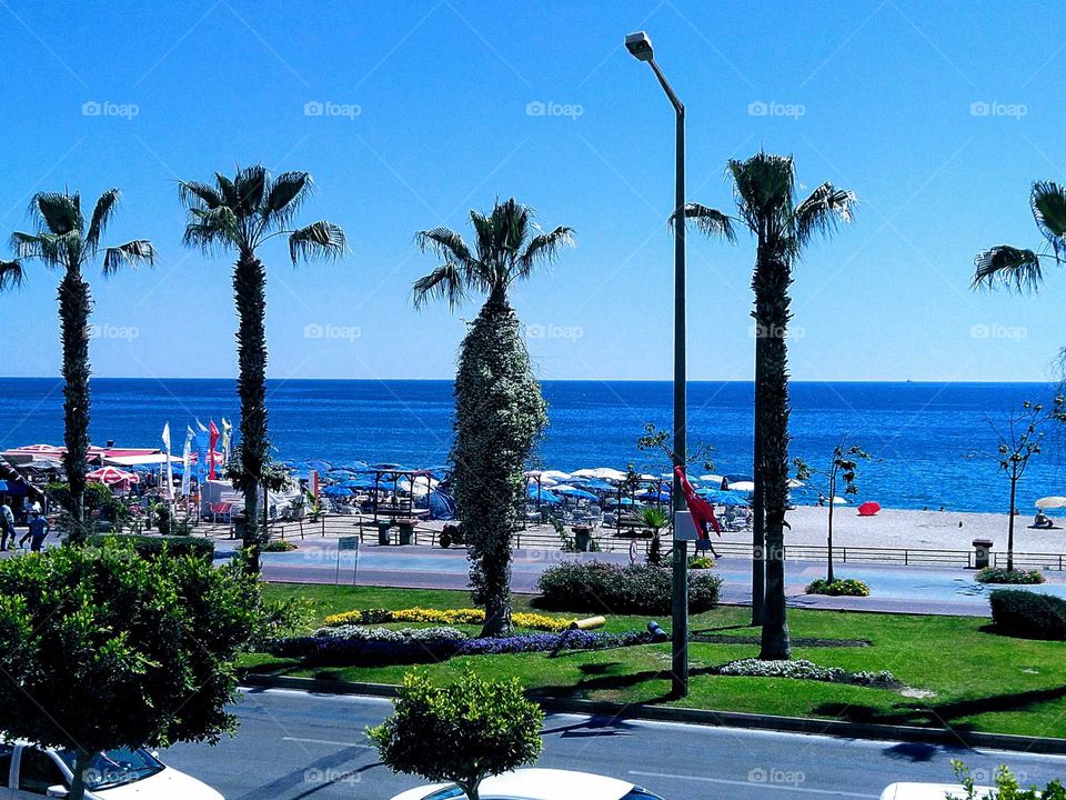 Alanya