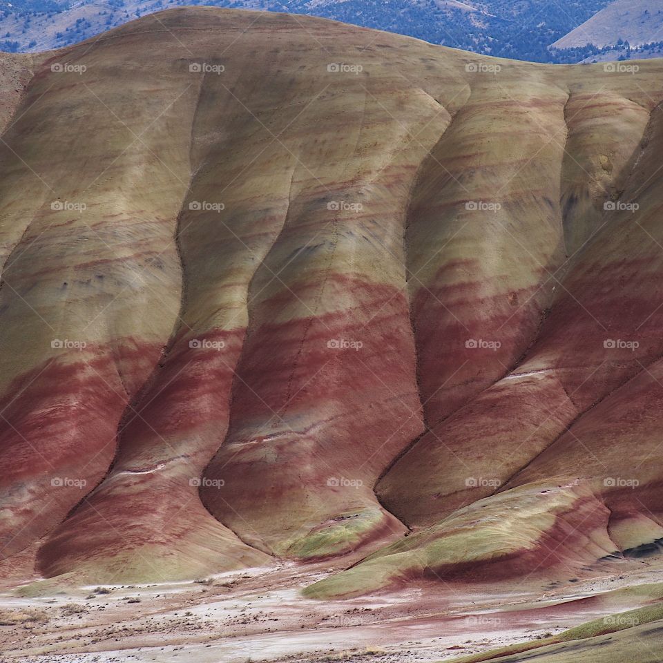 The incredible beauty of the red, gold, and browns of the textured Painted Hills in Eastern Oregon on a bright sunny day.