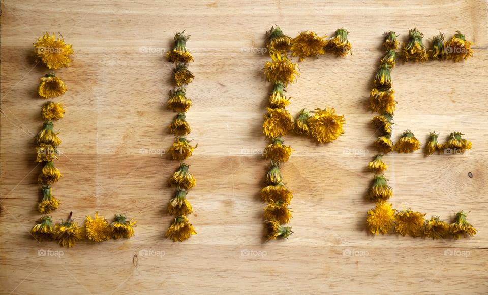 A collection of dandelion flower heads are arranged on a wooden cutting board into the word life.