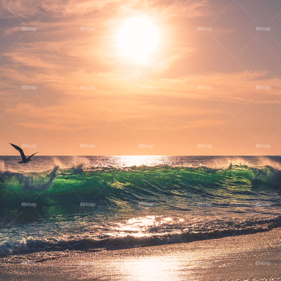 Sunset on Beach