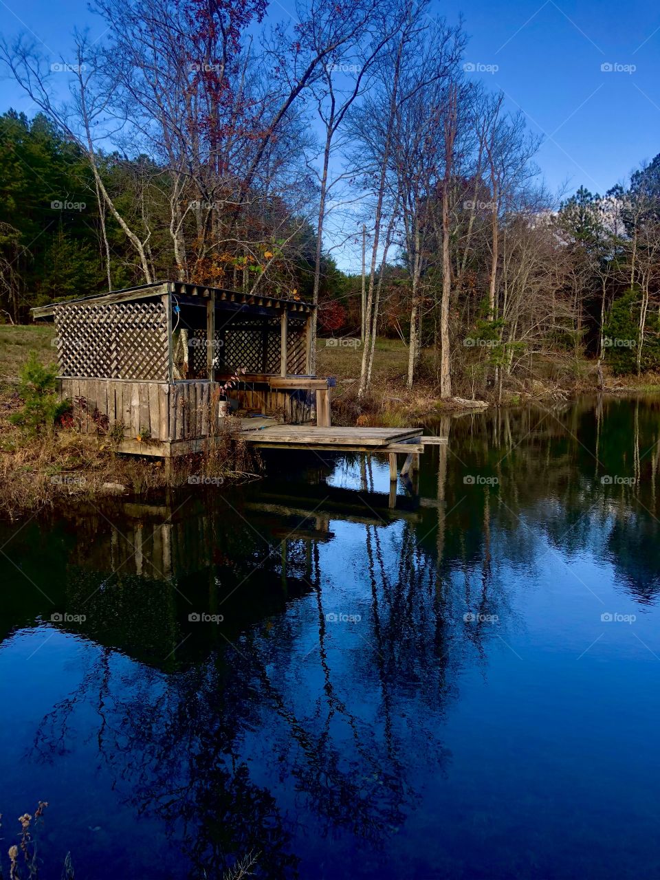 Fishing pond at Bear Creek Wildlife Preserve 