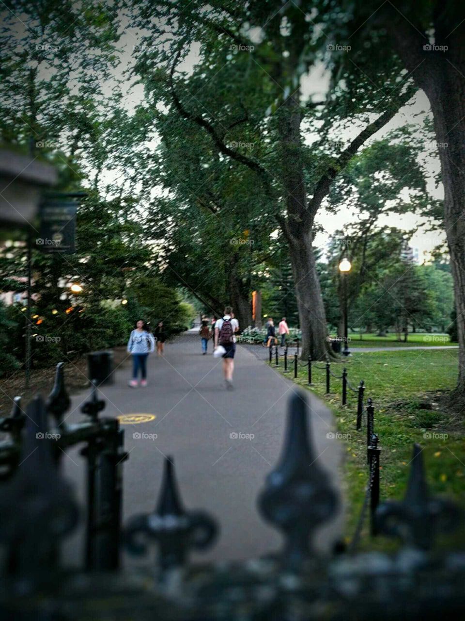 Boston Public Garden