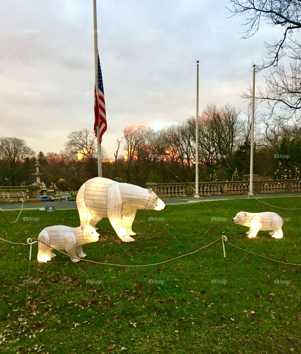Polar bear lantern family at dusk, Bronx Zoo, December 2020