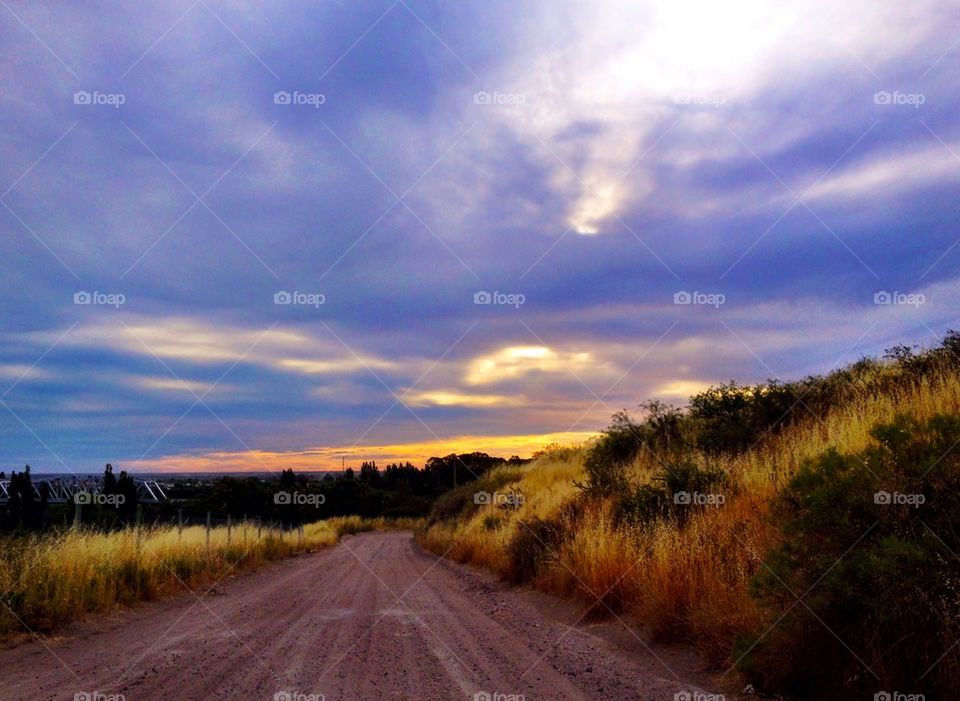Footpath passing through forest at sunset