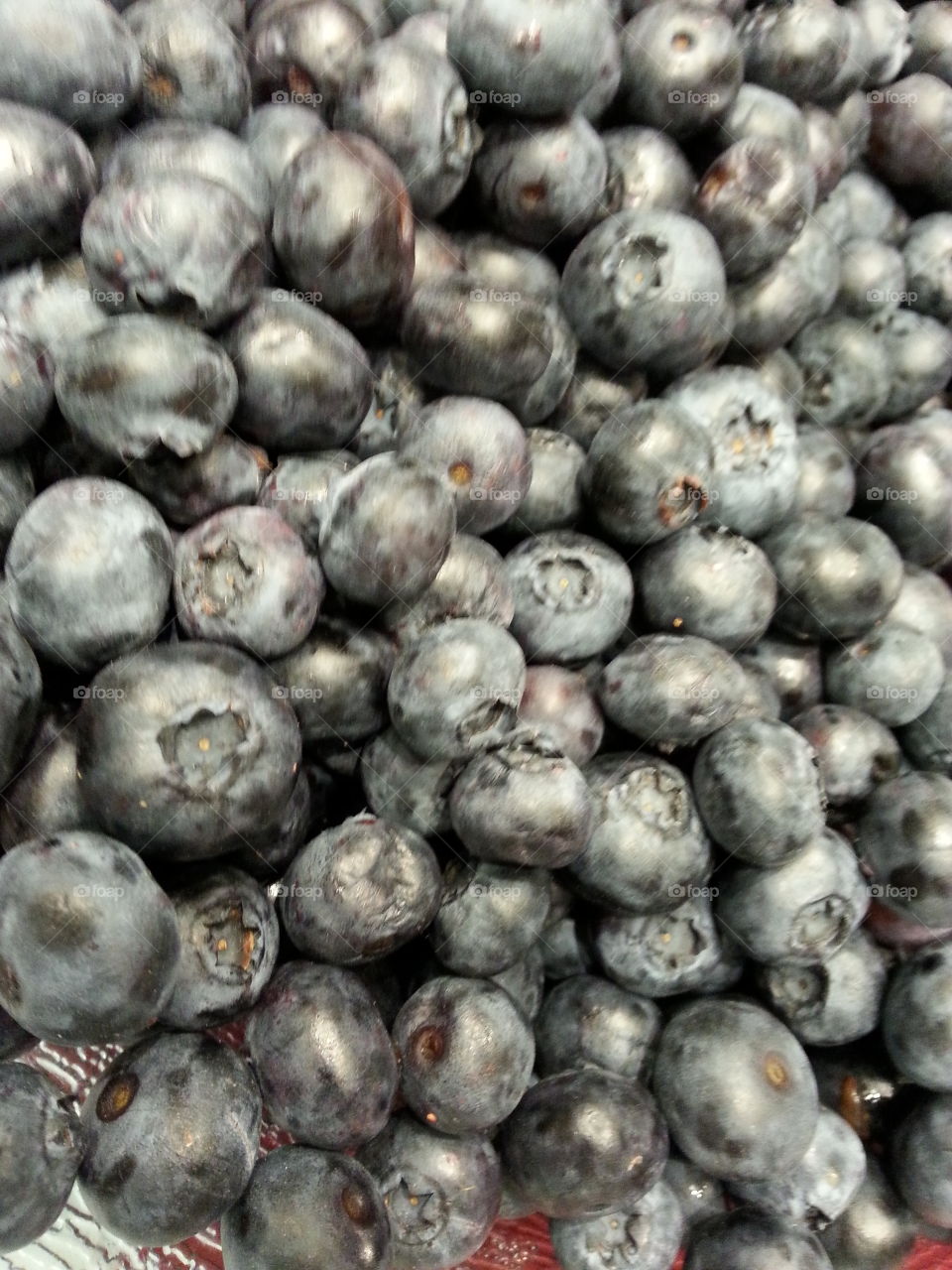 blueberries. fruit