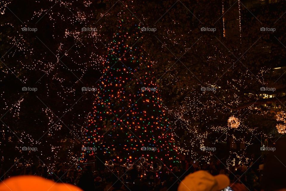 Christmas Tree Lighting 