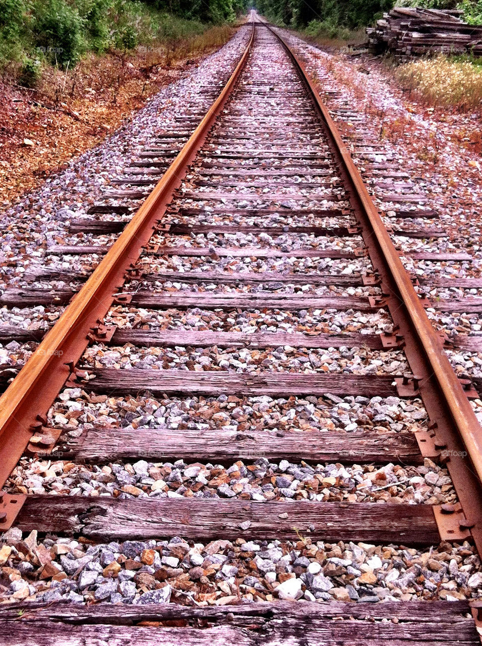 railway tracks railroad rustic by shannonsteele