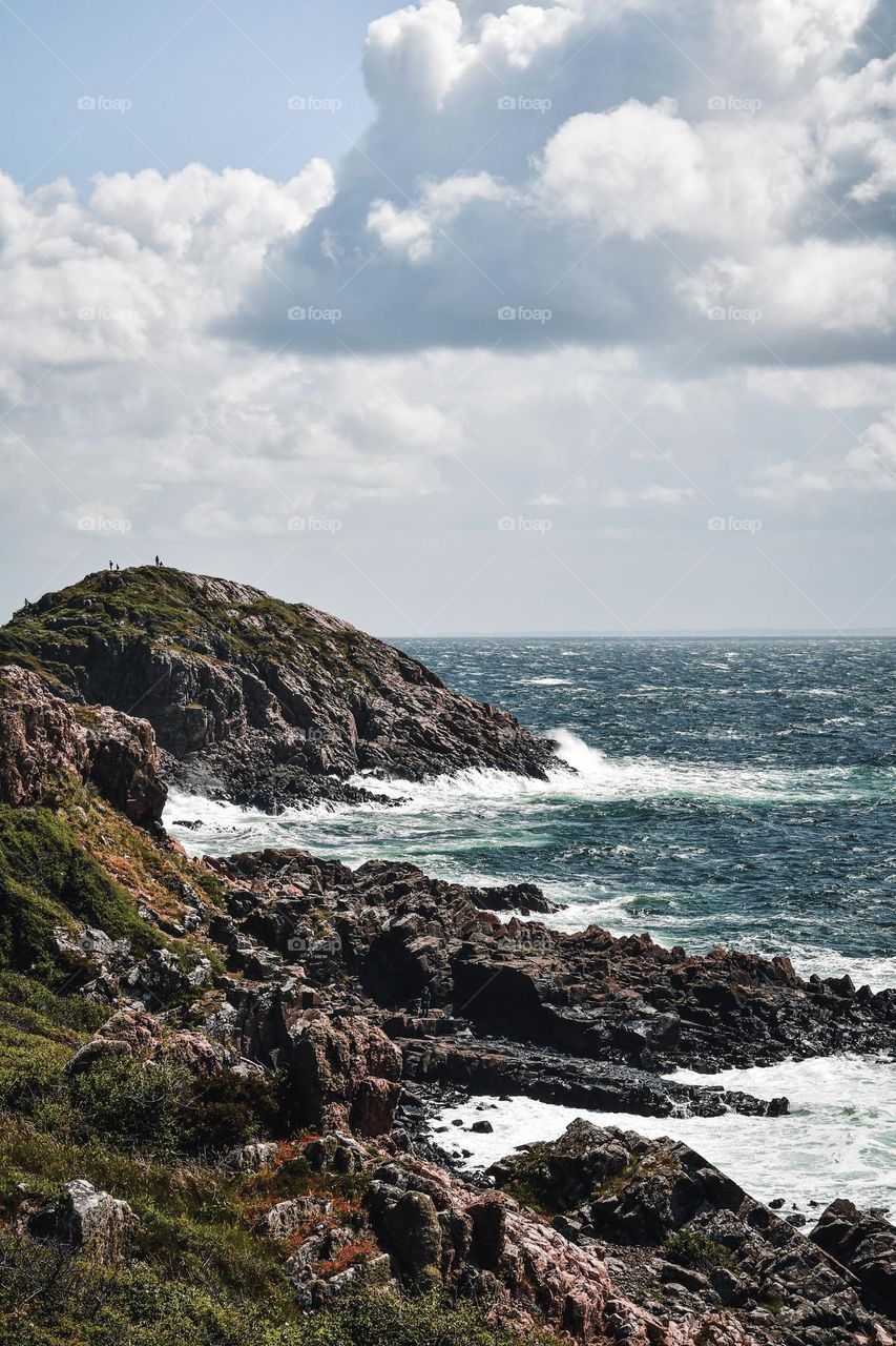 Landscape photo of nature at seaside 