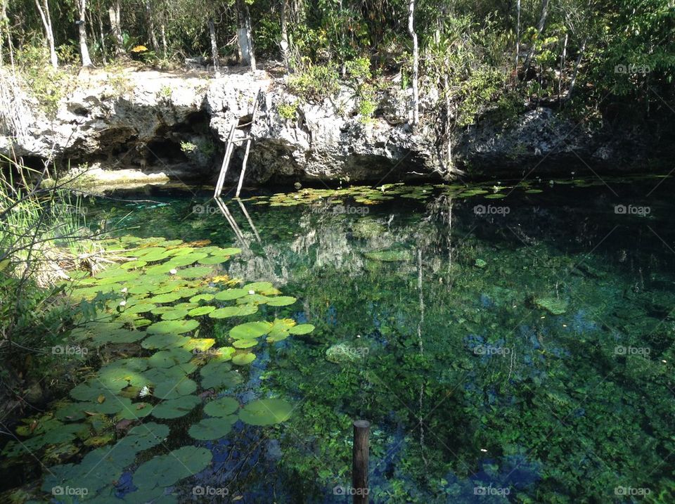 Cenote