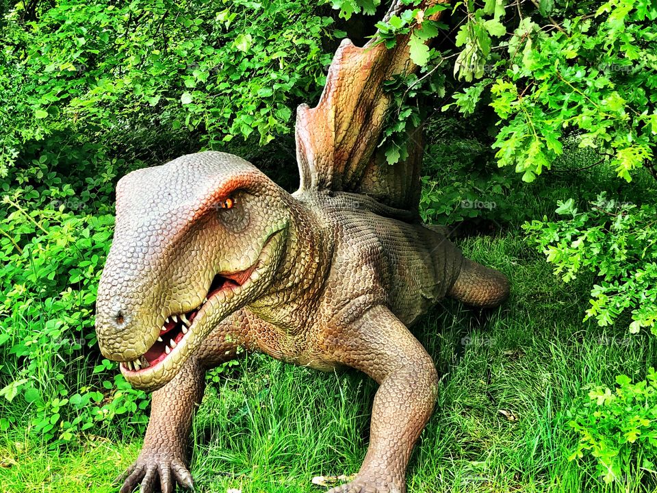 Animatronic Dinosaur hiding between the bushes. 