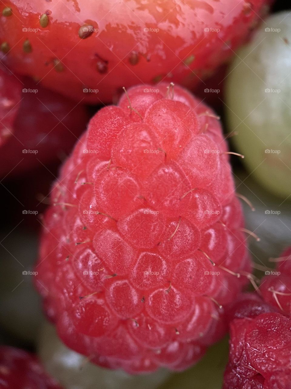 Fruit macro
