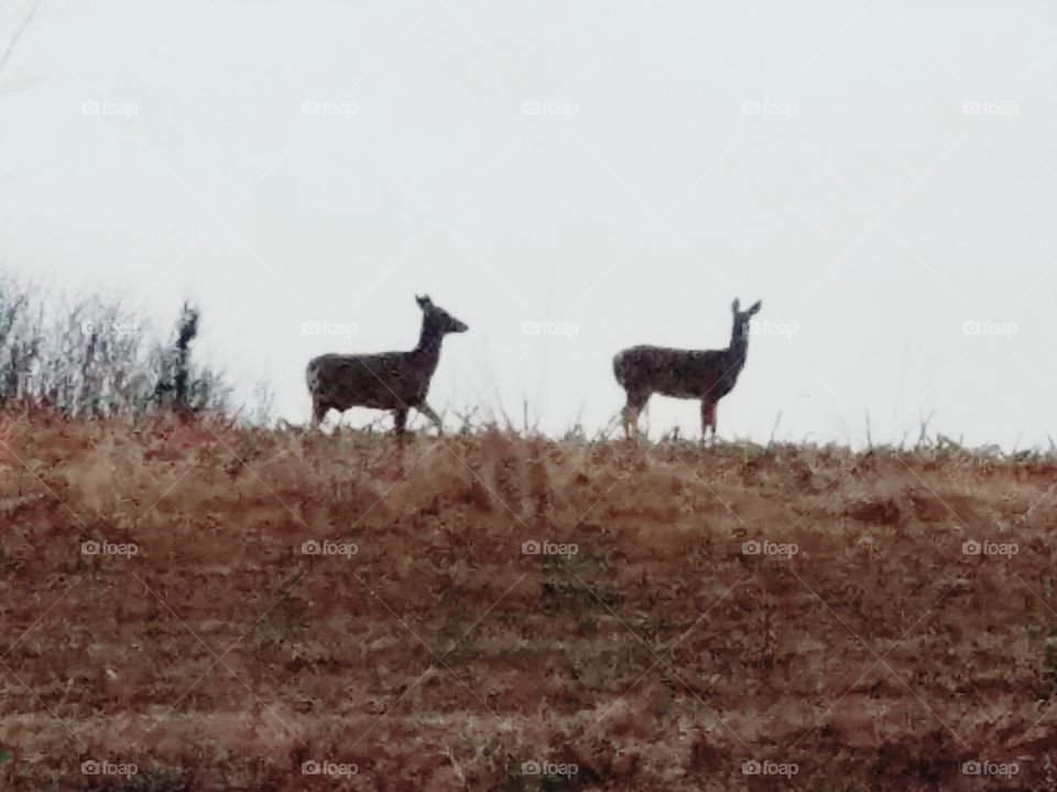 Driving the back Roads, Enjoying Nature