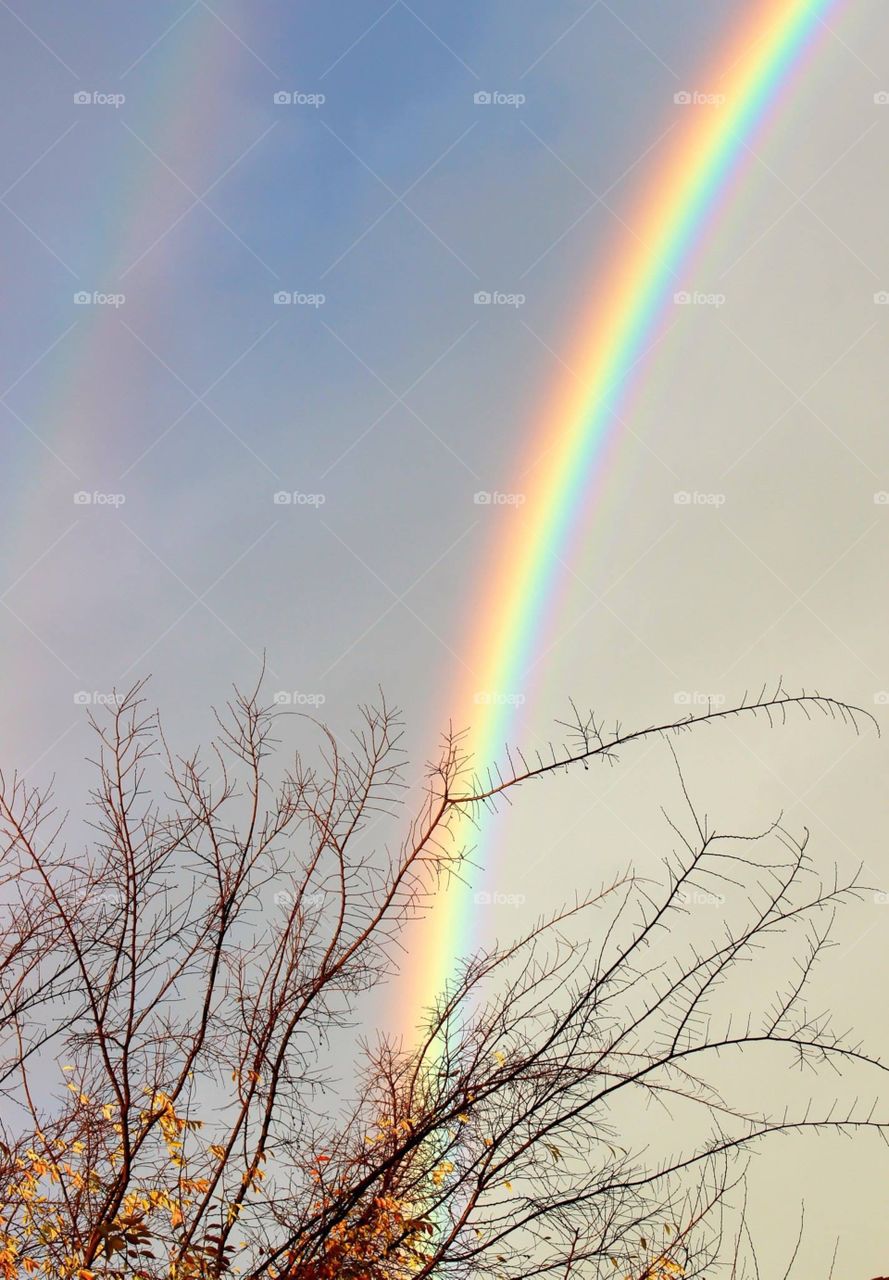 Double Rainbow