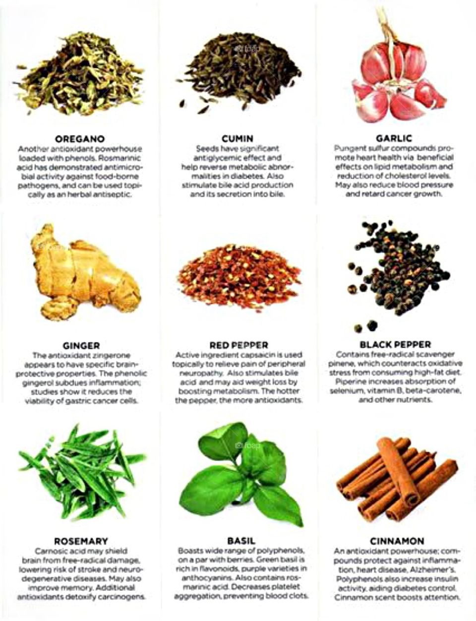 Healthy life with herbs 