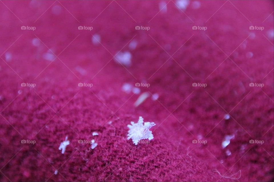 A small white ice crystal lies on a purple wool scarf