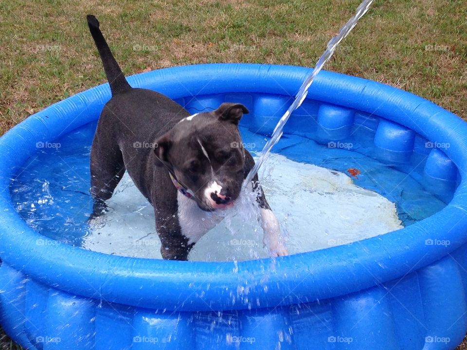 Playing with the hose