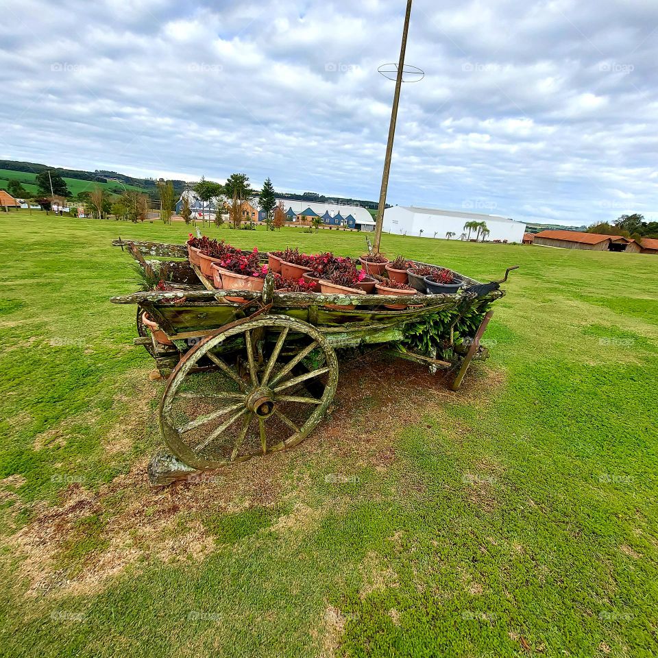 Uma carroça velha que serviu para transporte dos imigrantes holandeses, agora é um suporte de vasos floridos que enfeitam um espaço cultural de Carambeí Paraná.