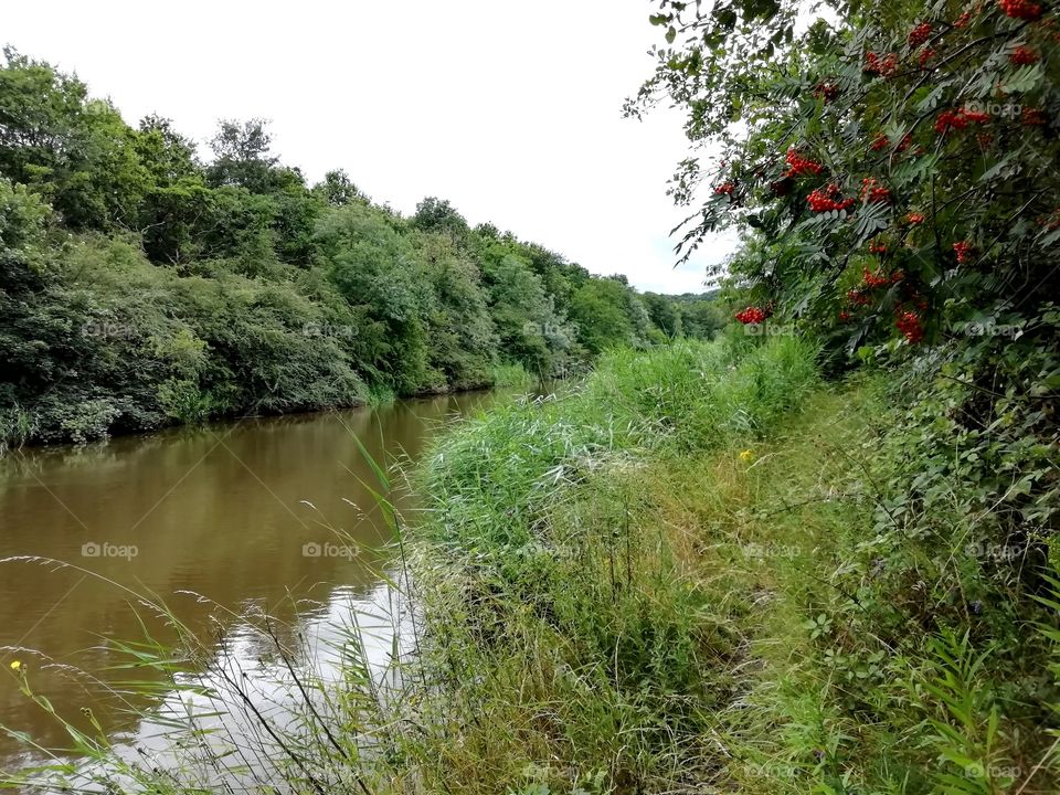 River Weaver, Northwich Cheshire UK