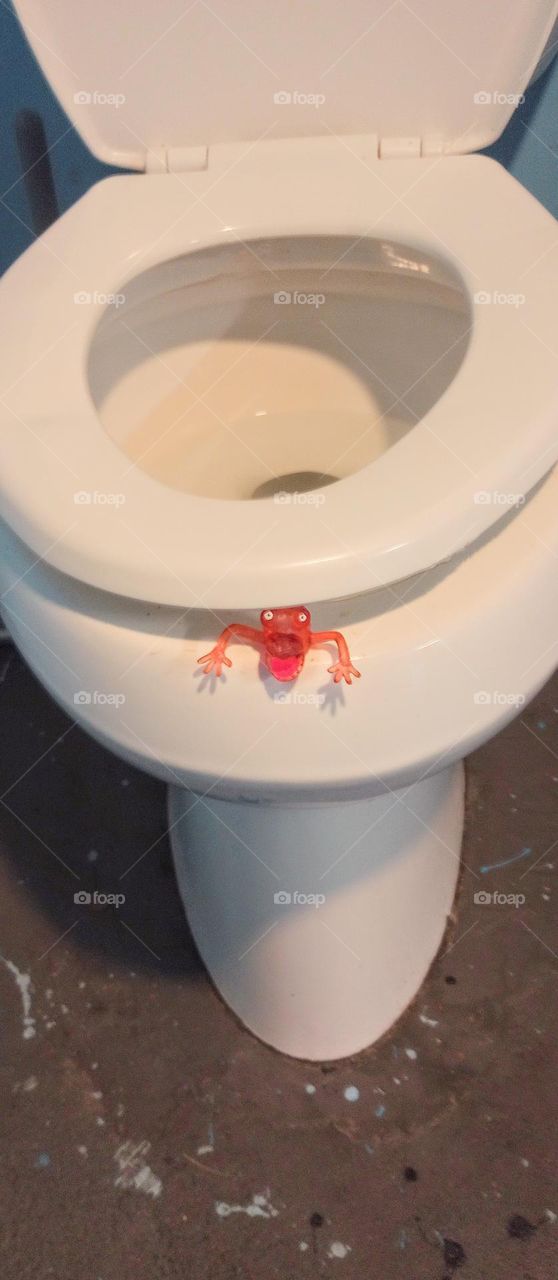 The Creature from the White Commode