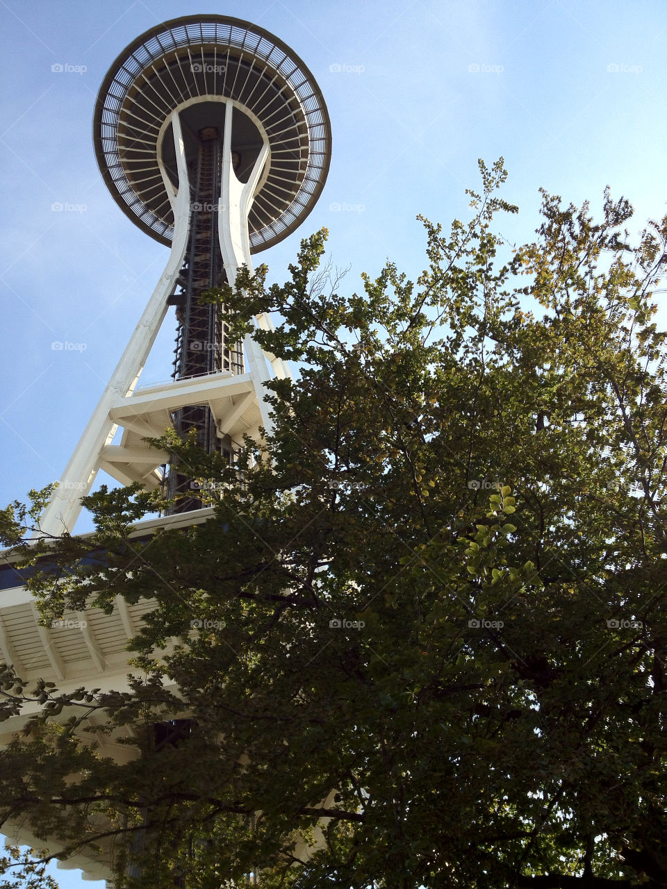 travel summer tall needle by moussa81