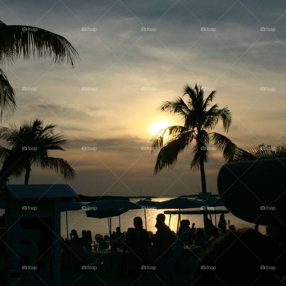 The Lorelei in Islamorada 