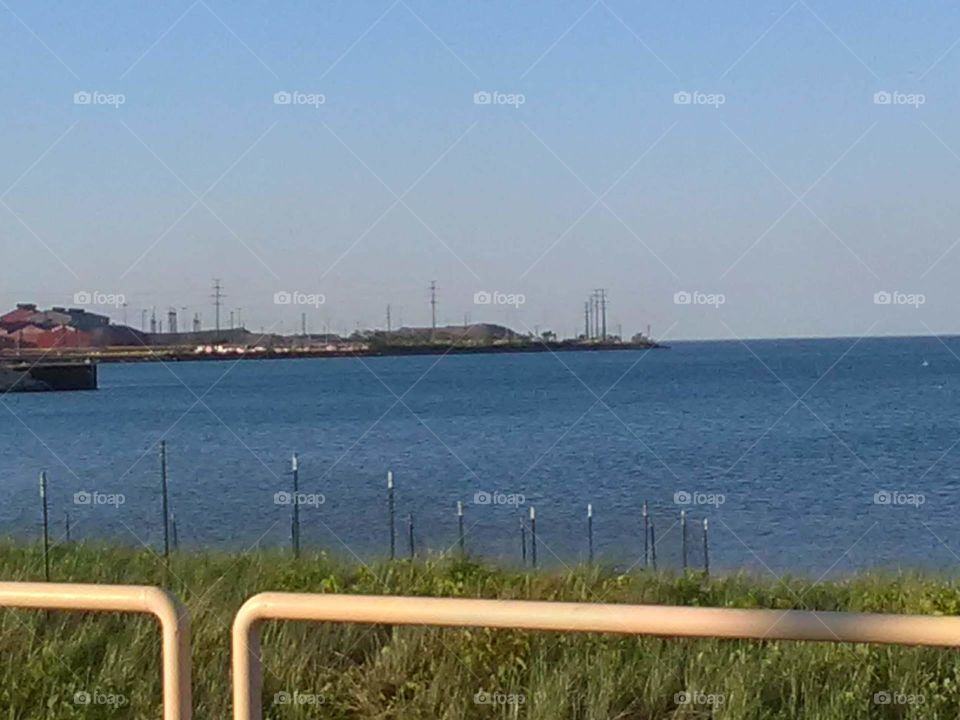 Beauty While It Lives