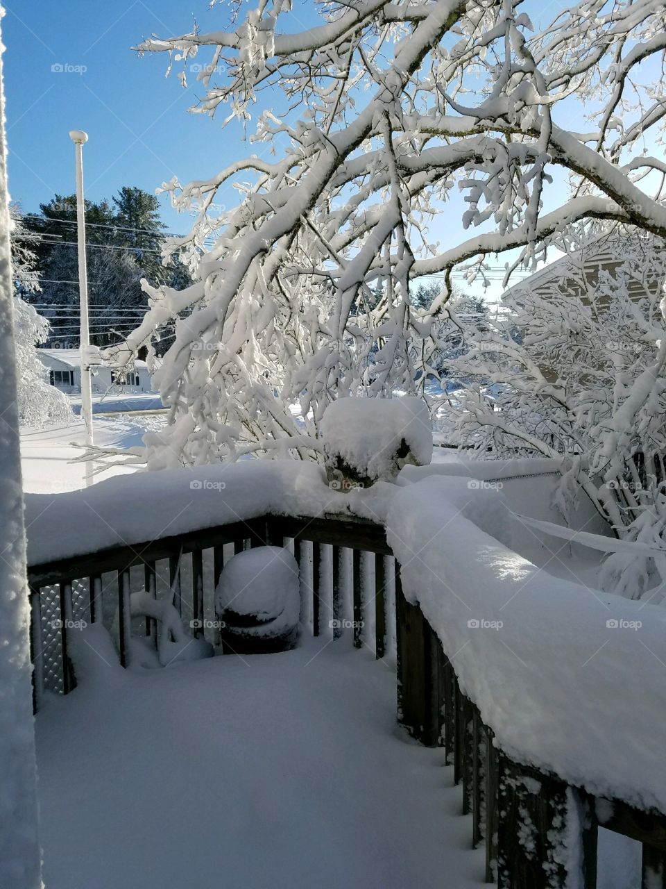 Winter is coming! 1st snowstorm with snow frozen to trees, fences, grass, lawn & roads.