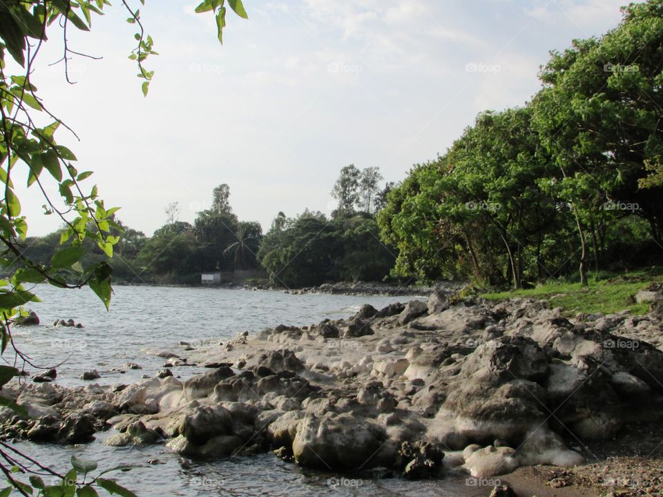 Kivu lakeshore