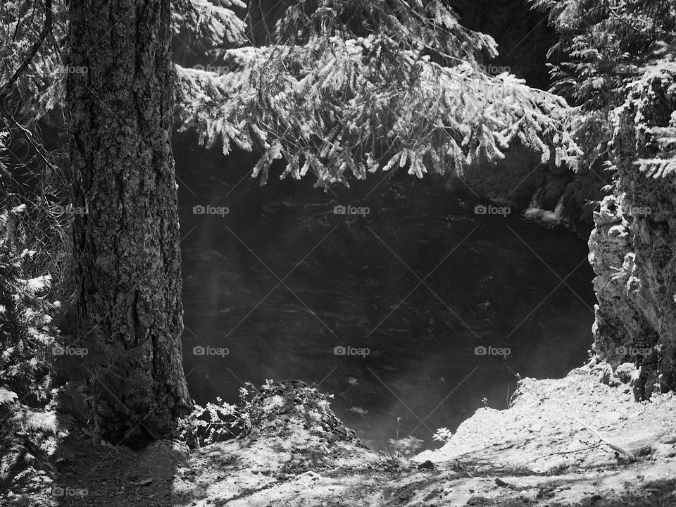 The McKenzie River rushes down a canyon after dropping over Sahalie Falls