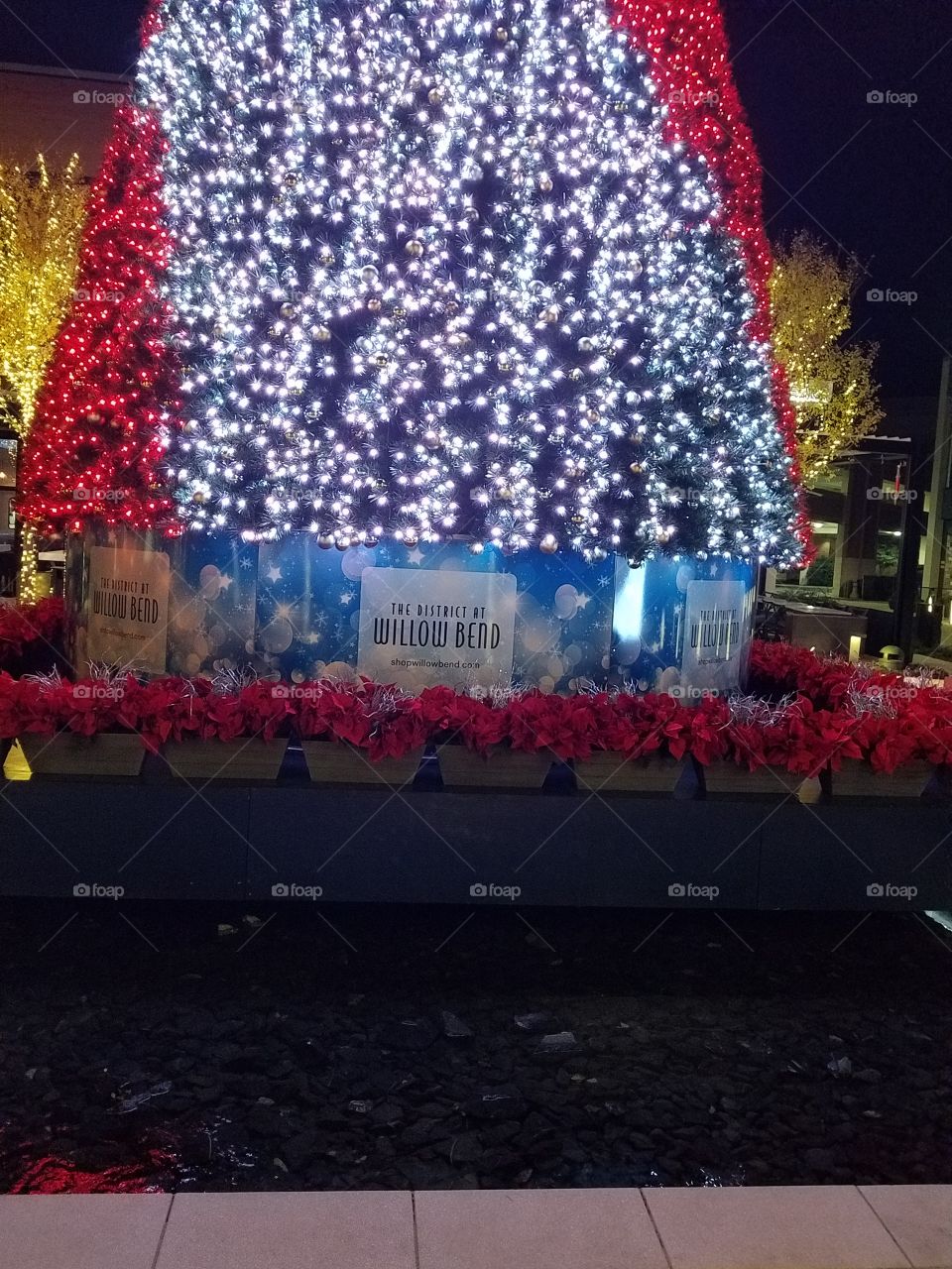 Shops at Willow Bend Courtyard Christmas Tree