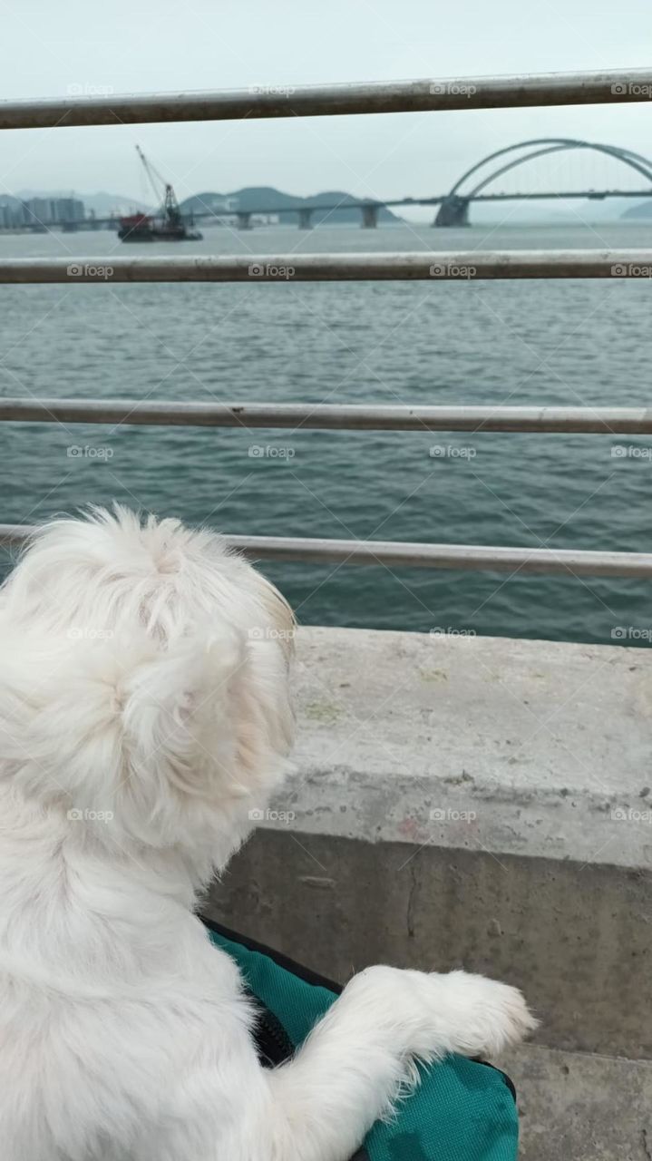 What am I thinking….🤪