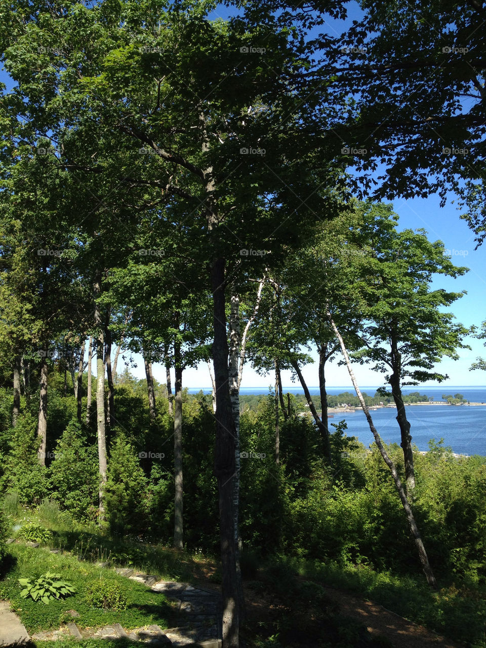 beach sky green pretty by somebeach