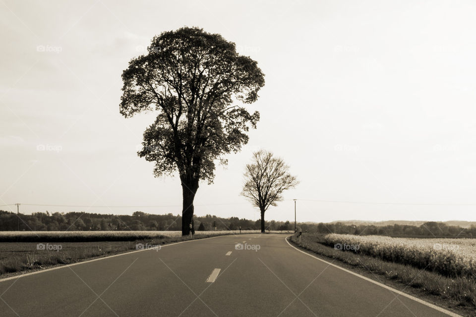 Black and white road to nowhere