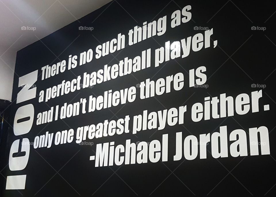 michael jordan quotes