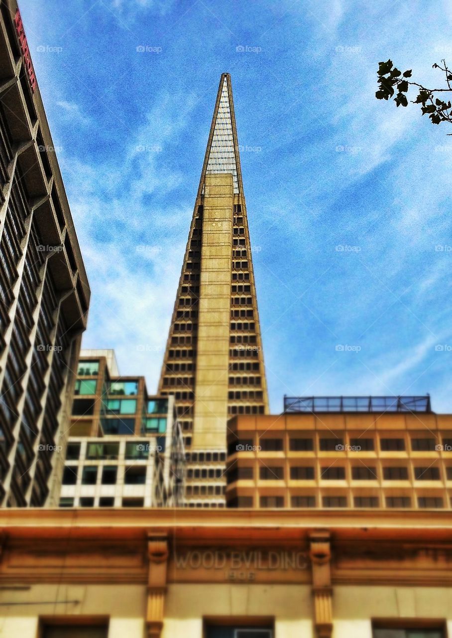 Transamerica 