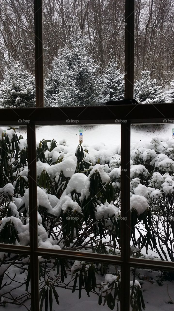 snow scene through window