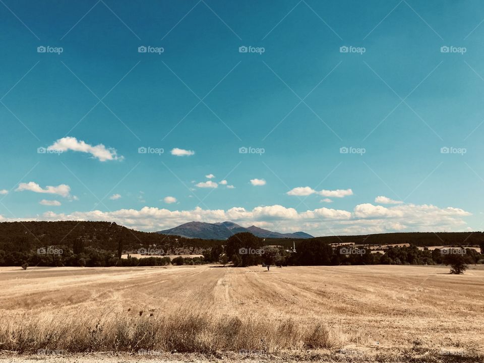 clouds, sky, landscape, garden