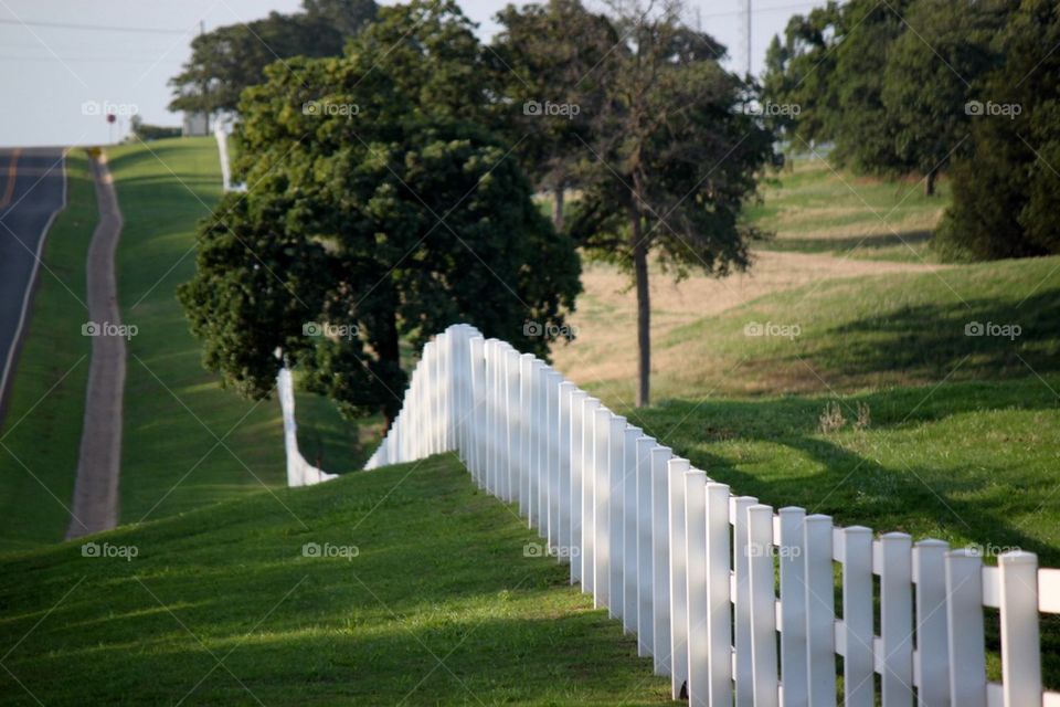 Long White Fence