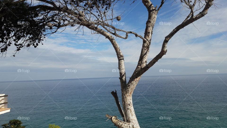 Water, Landscape, Tree, Nature, Sky