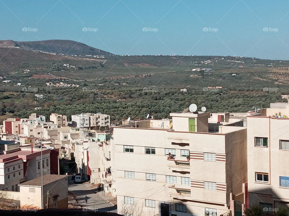 human's between the nature