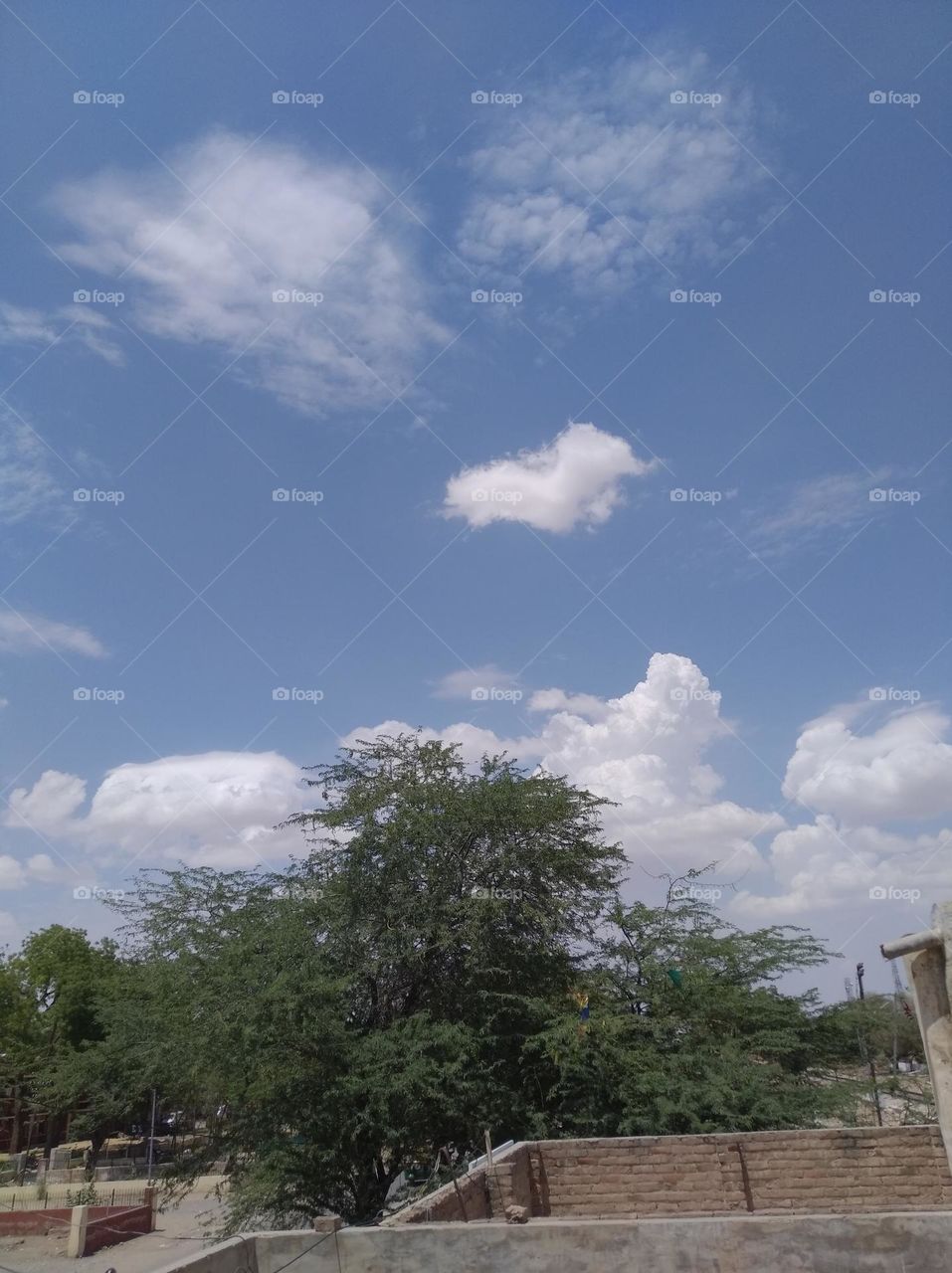 a shiney day white clouds in blue sky whitish cloud scattered green plant tree looks very beautiful
