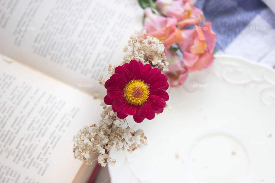 Flower and book