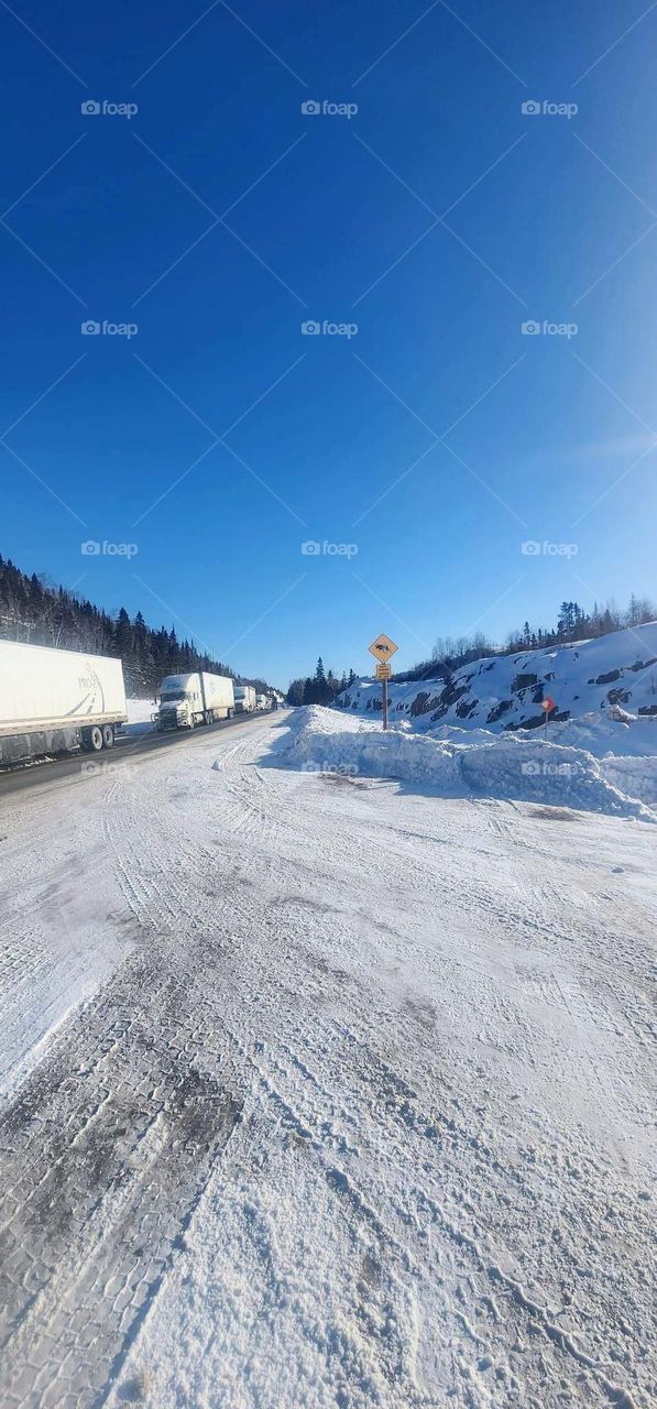 White semi trucks on the highway