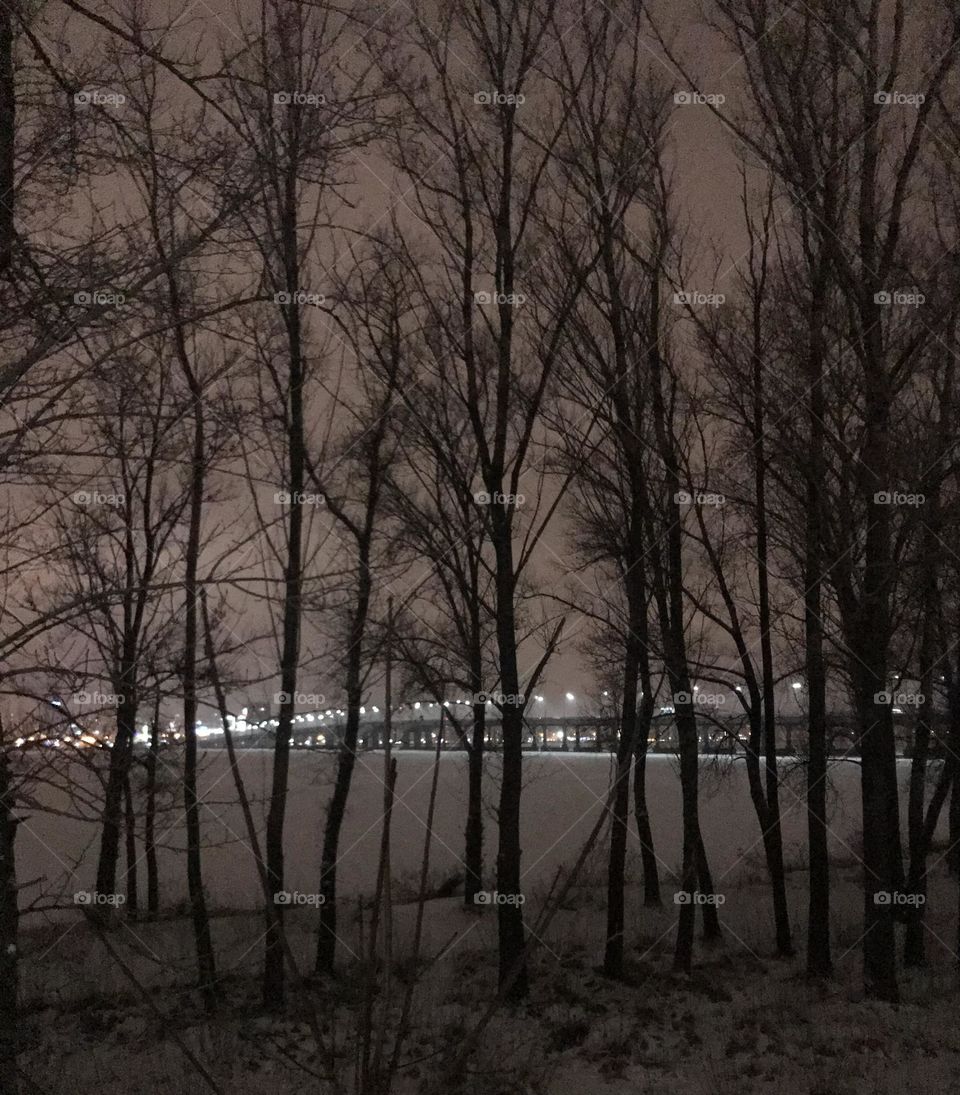 Night city view through trees 