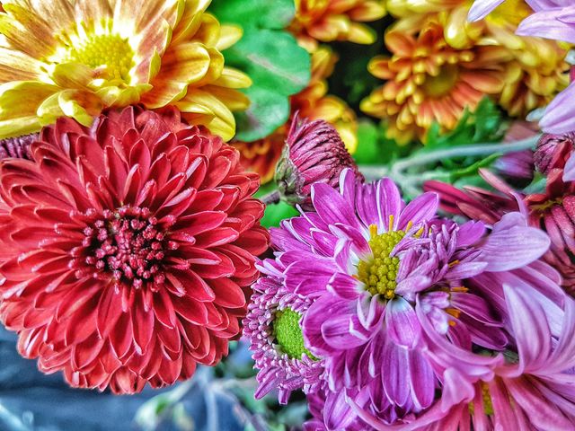 Bouquet