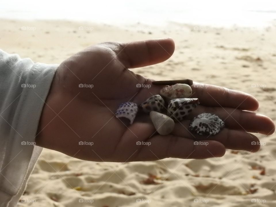 Small beautiful things