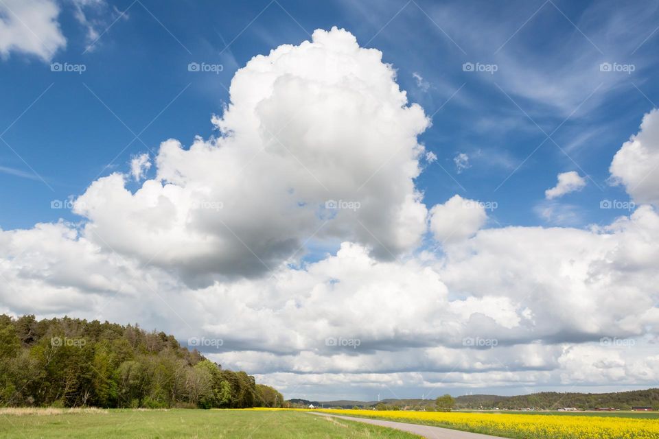 Big summer clouds over fields and small road in the countryside 
