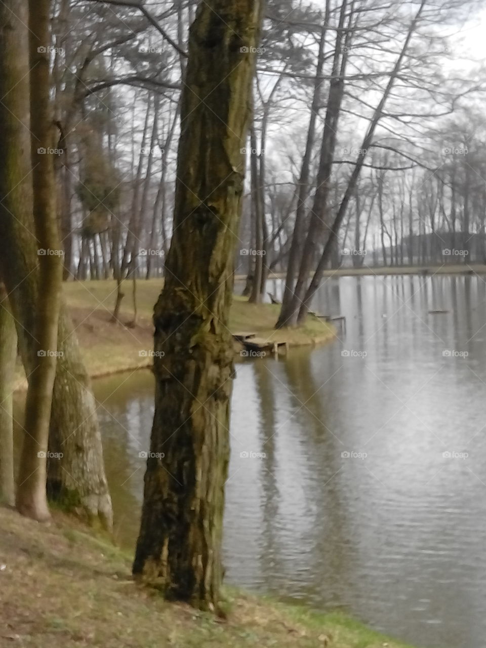 The beauty of spring . This picture I took during walk in naturalistic park in Rozalin,  Poland. I like the reflection of trees in the water. 